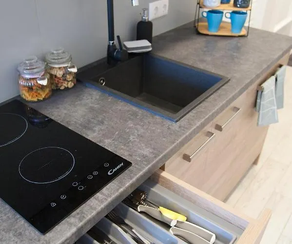 Kungu In Old Town Apartment